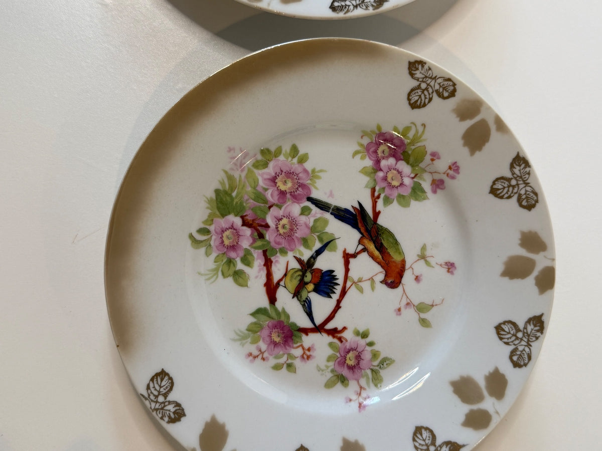Antique 1920s Bavaria Germany "Debra" Porcelain Bird Plates - Pair