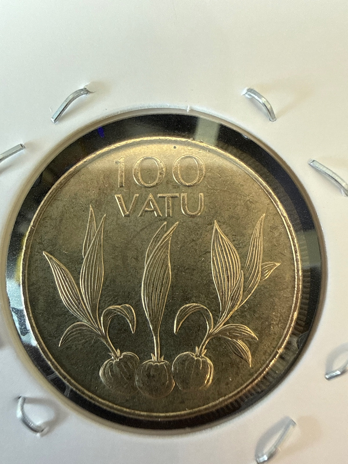 2008 Vanuatu 100 Vatu Coin — product photograph 3