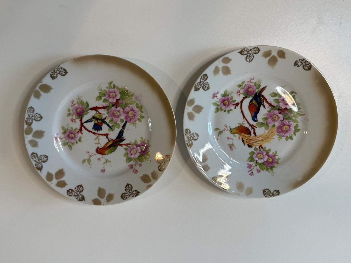 Antique 1920s Bavaria Germany "Debra" Porcelain Bird Plates - Pair