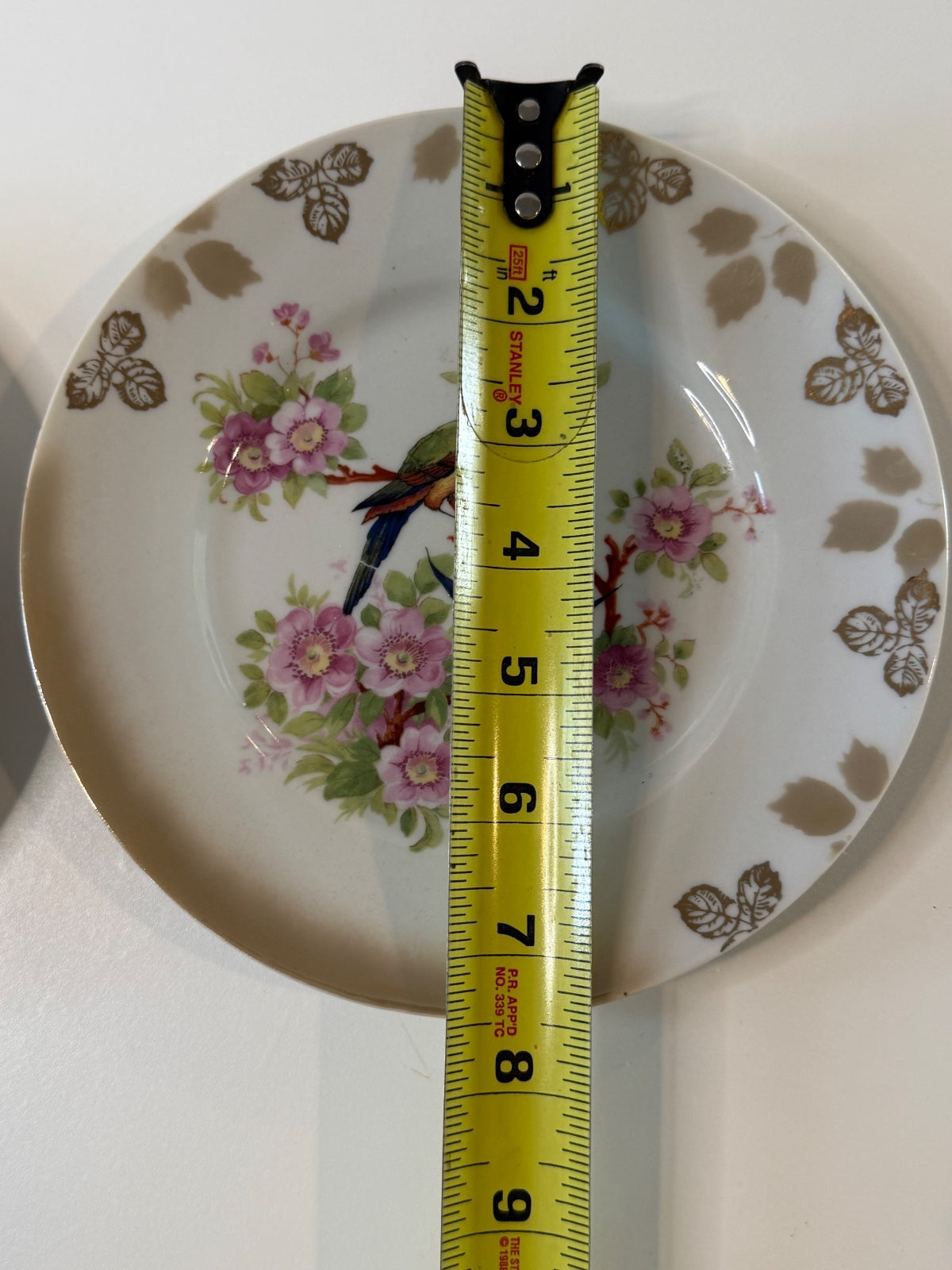 Antique 1920s Bavaria Germany "Debra" Porcelain Bird Plates - Pair