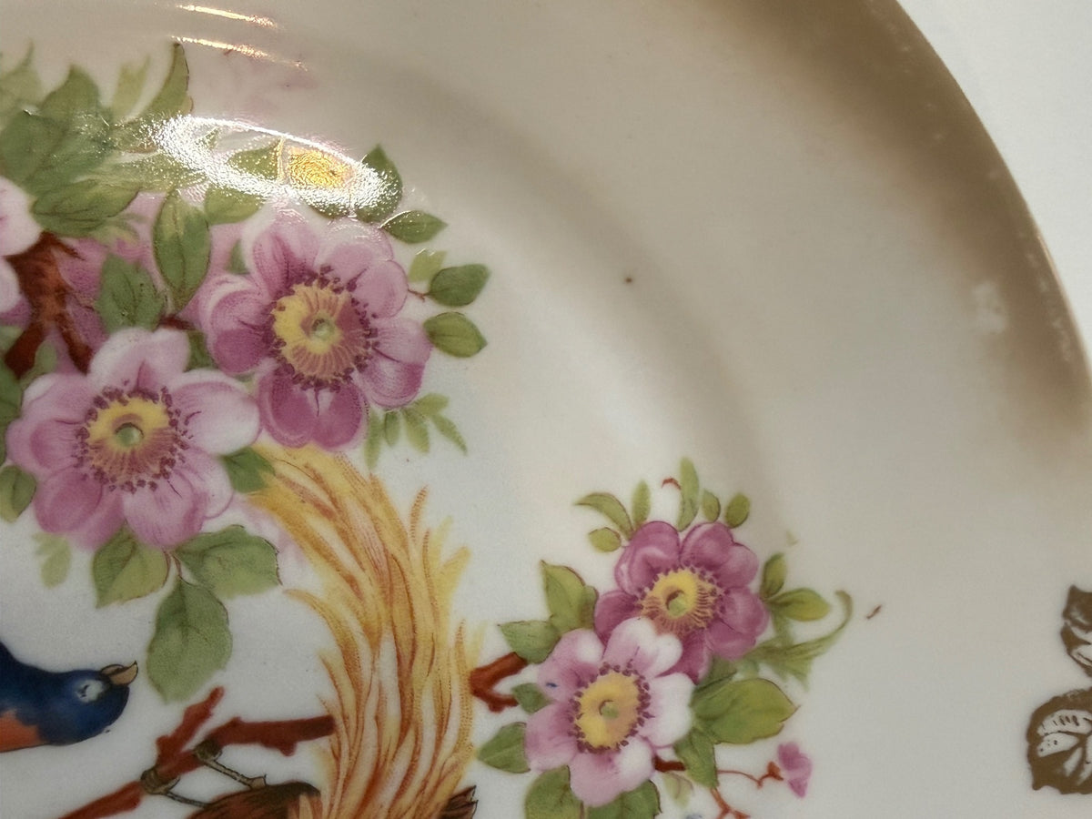 Antique 1920s Bavaria Germany "Debra" Porcelain Bird Plates - Pair