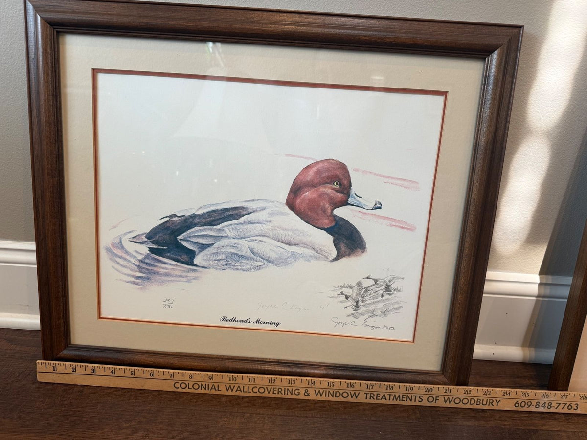 Joyce C Gagen Redhead’s Morning Signed Limited Edition Duck Print 237/500 1980 – alternate product view 3 of 5