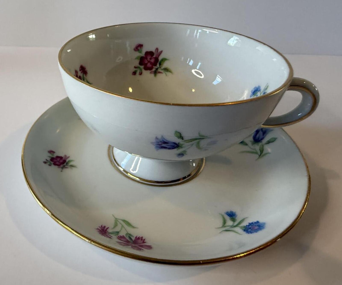Johann Haviland Bavaria Germany Tea Cup & Saucer Floral Gold Tri