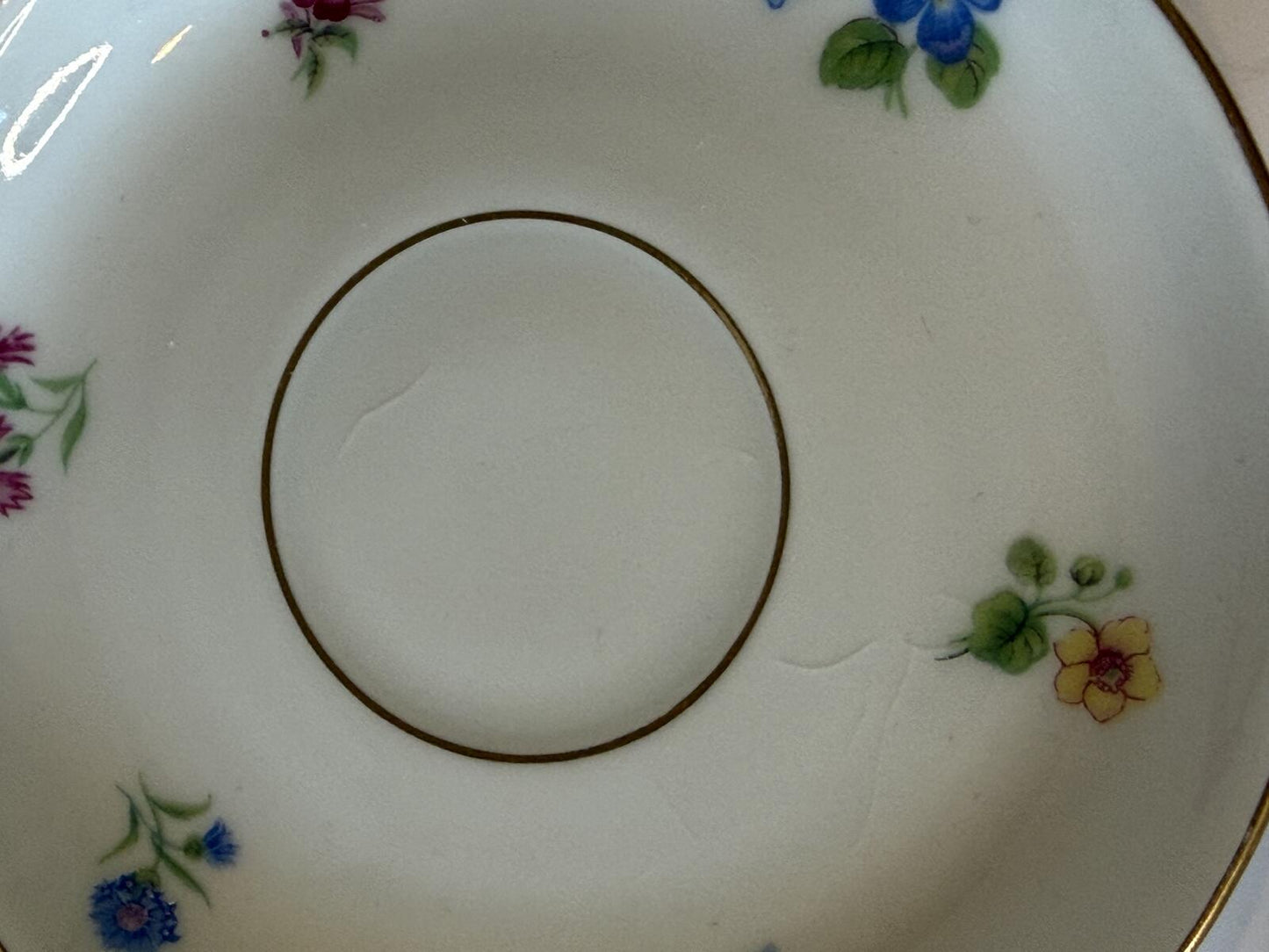Johann Haviland Bavaria Germany Tea Cup & Saucer Floral Gold Tri