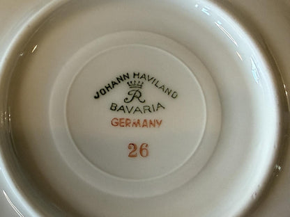 Johann Haviland Bavaria Germany Tea Cup & Saucer Floral Gold Tri