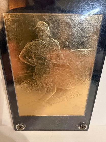 Dale Earnhardt Sr. #3 The Intimidator Gold Performance 22K Gold NASCAR Plaque
