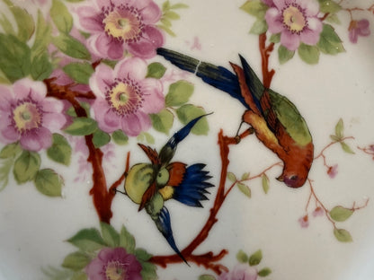 Antique 1920s Bavaria Germany "Debra" Porcelain Bird Plates - Pair