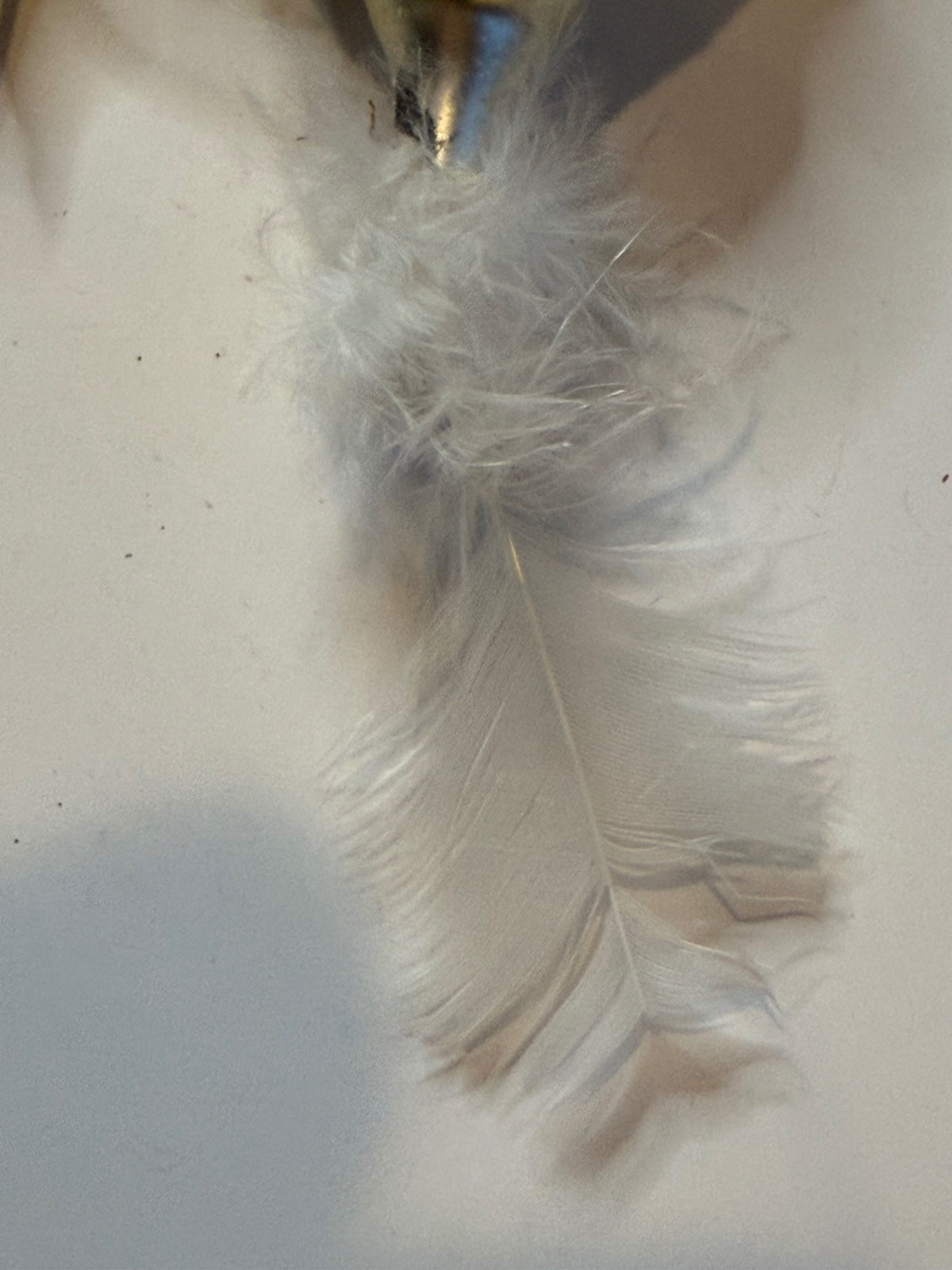 Vintage German Glass Turkey Ornament Clip-On Feather Tail 1950s – alternate product view 3 of 11