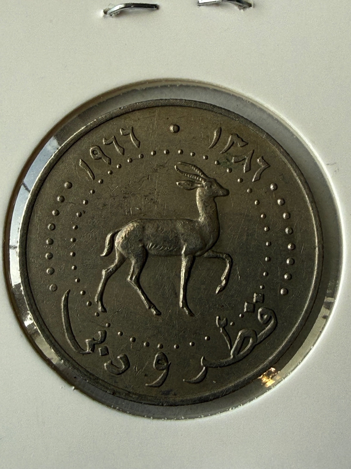 1966 Qatar & Dubai 50 Dirhams Coin — product photograph 3
