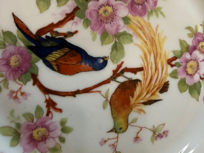 Antique 1920s Bavaria Germany "Debra" Porcelain Bird Plates - Pair