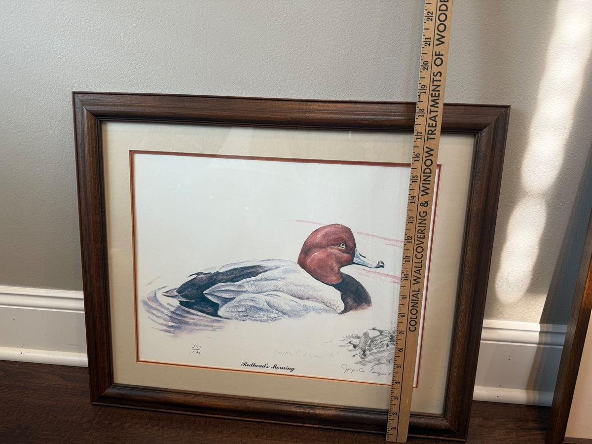 Joyce C Gagen Redhead’s Morning Signed Limited Edition Duck Print 237/500 1980 – alternate product view 4 of 5